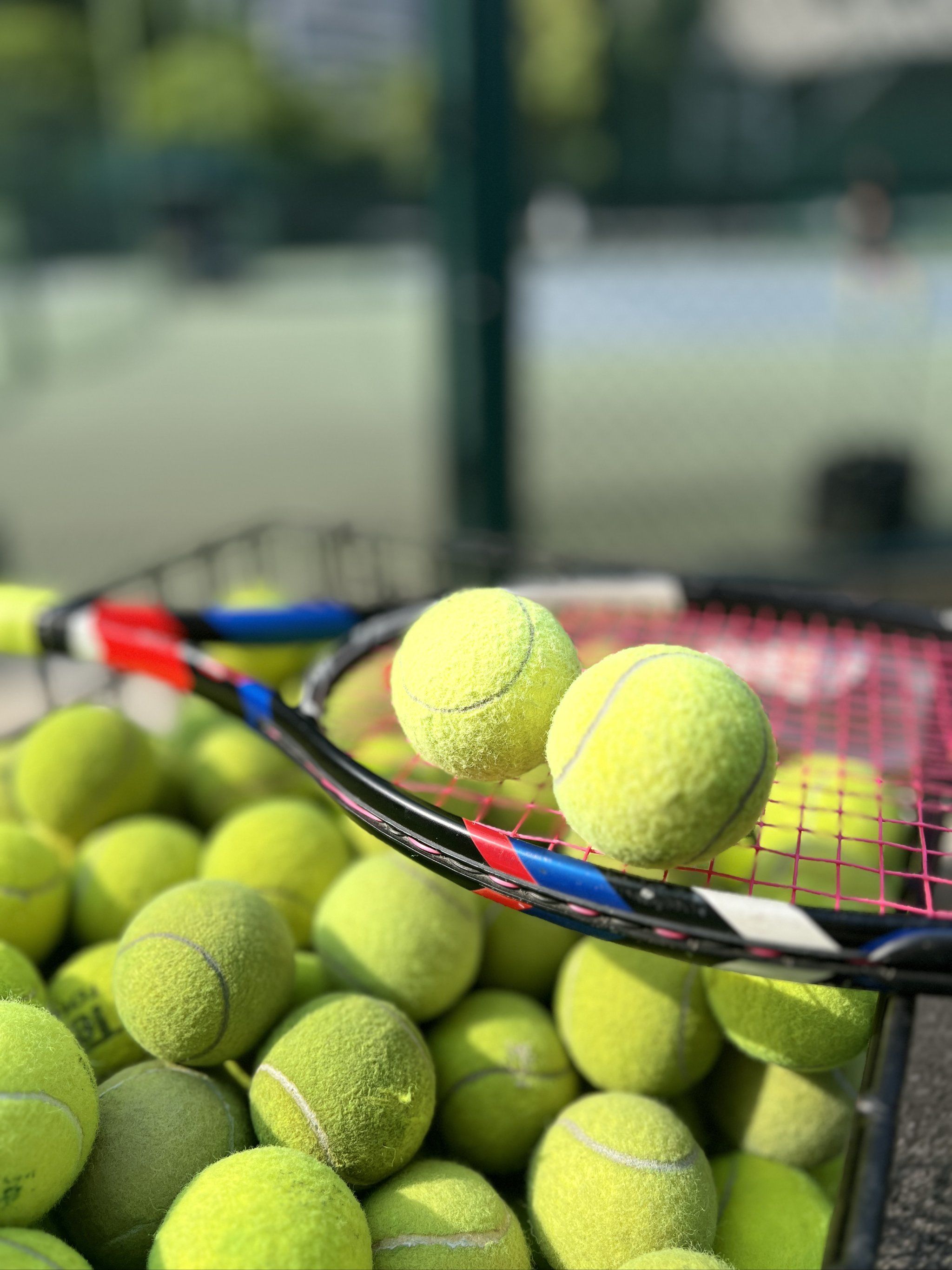 中超-浙江VS深圳新鹏城：为国养士！浙江队王钰栋等国脚能稳定出场.