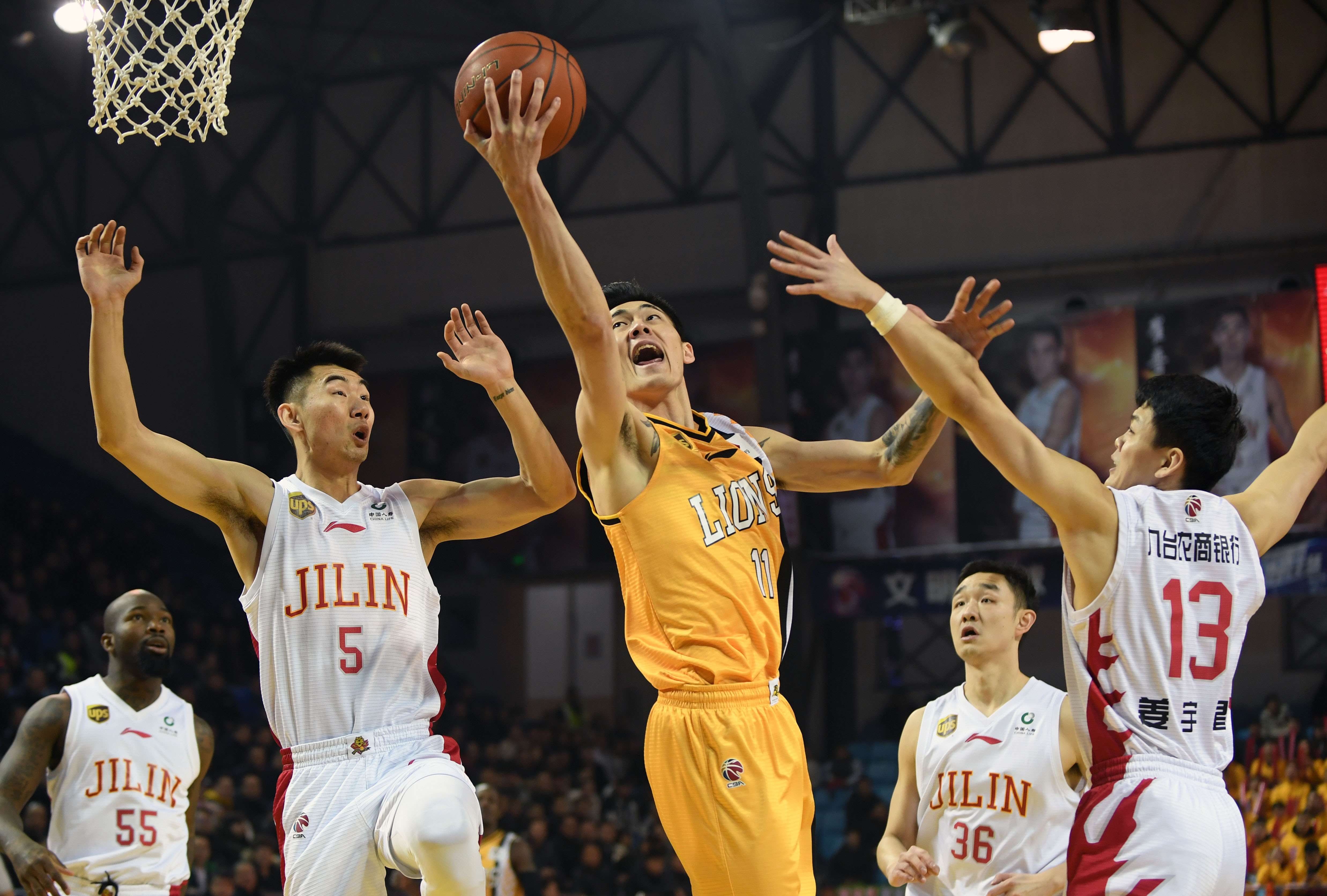 地域分布 地域分布