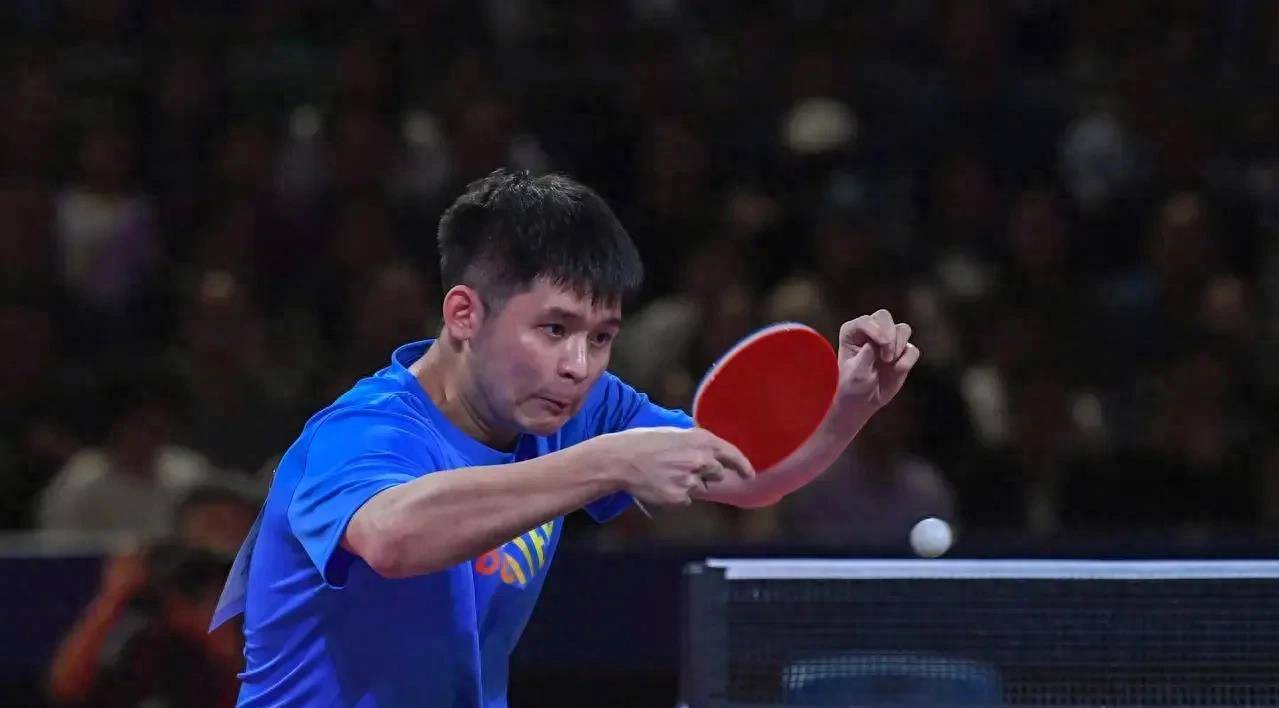 结论式判断 结论式判断